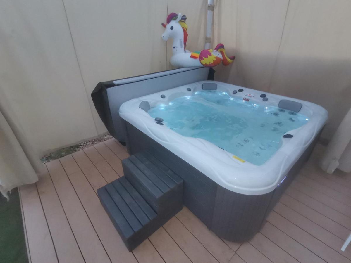 Apartman Hola Novigrad  Exterior photo