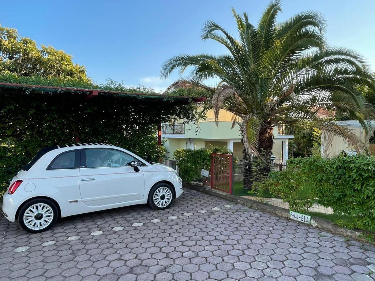 Apartman Hola Novigrad  Exterior photo
