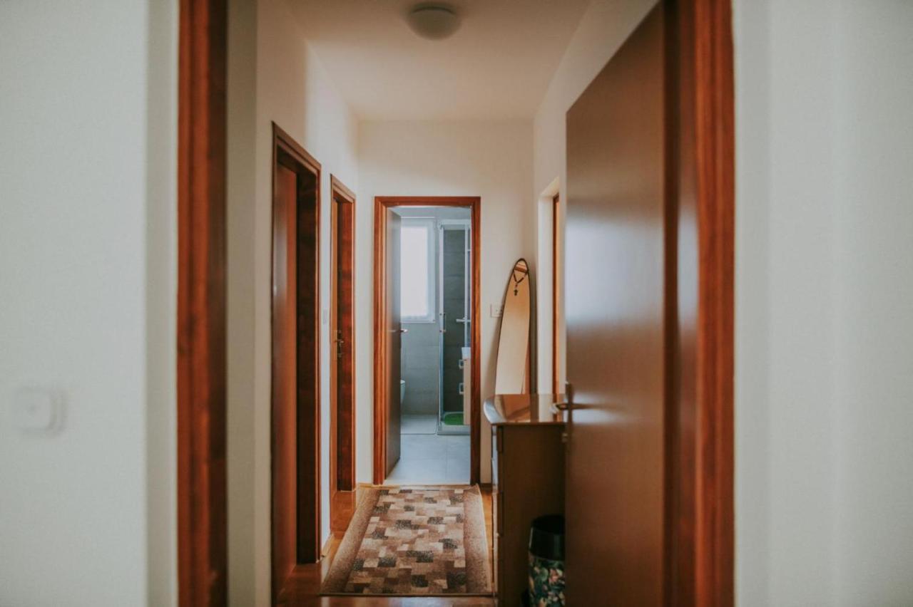 Apartman Hola Novigrad  Exterior photo